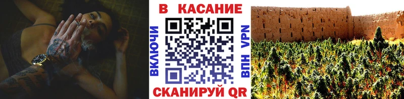 Где купить наркотики Камешково Галлюциногенные грибы Конопля Alpha PVP Кодеин Меф мяу мяу COCAIN Гашиш MDMA