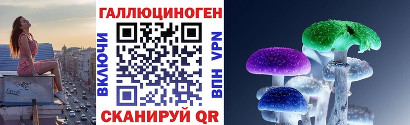 дарнет шоп Камешково Псилоцибиновые грибы ЛСД
